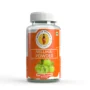 Nellikai Powder by Agastya Organics